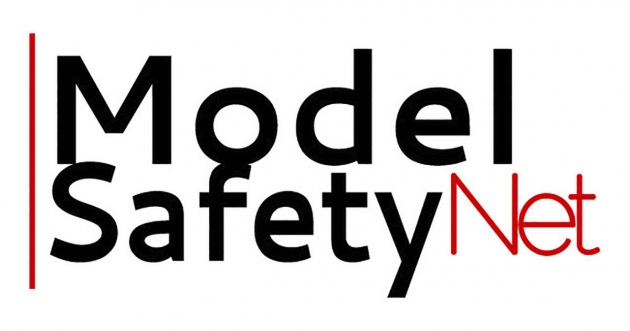Partnership with Model Safety Net